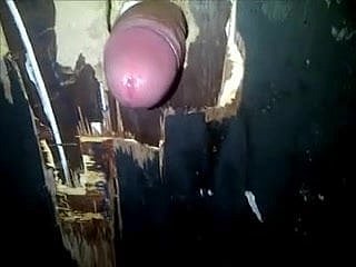 Totalitarian Genuine Gravity Crevice
